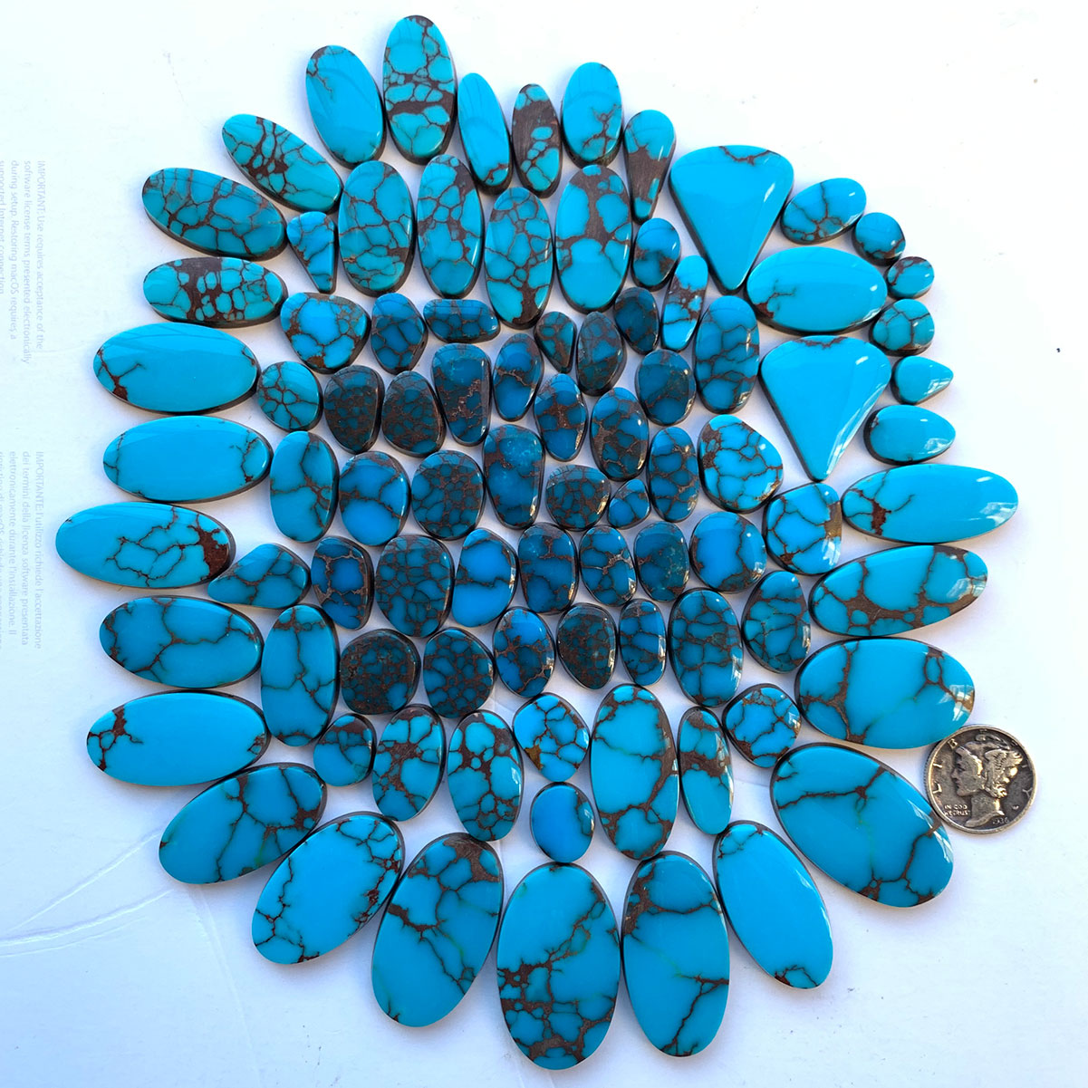 Synthetic Turquoise with Matrix Half Moon Beads Pack of 7 - Turquoise Multi  - Trims By The Yard